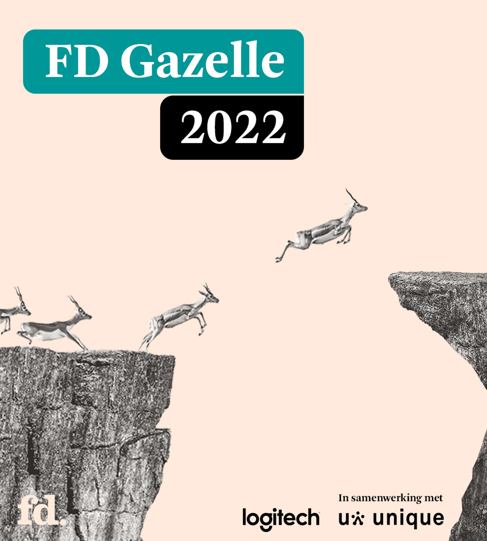 Neomounts remporte le prix FD Gazelle 2022