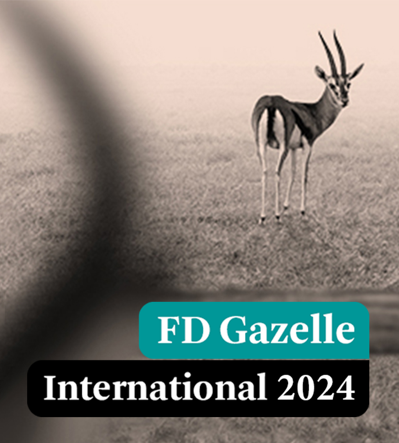 FD Gazelle International Award 2024 pour Global Mounts Group