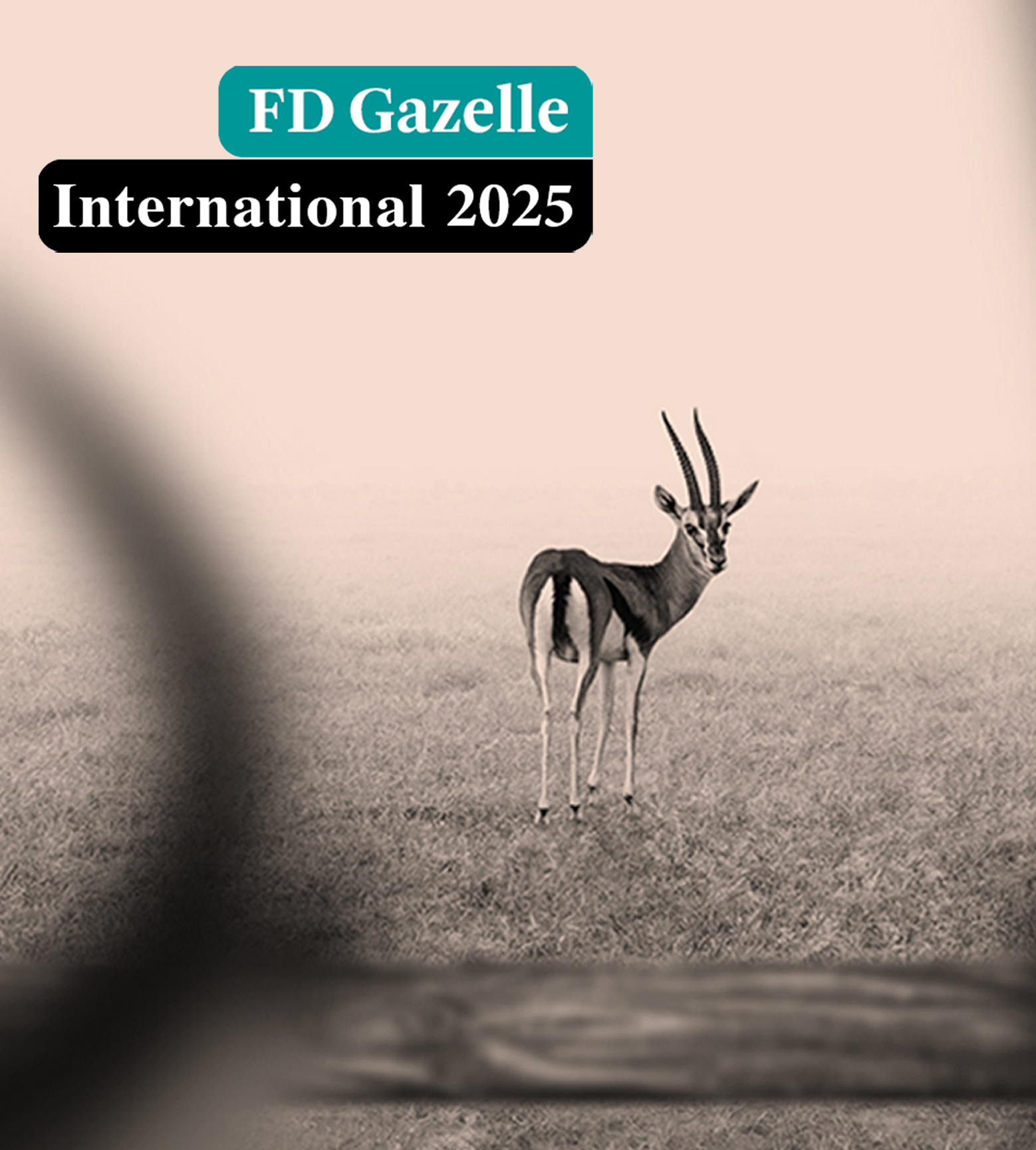Global Mounts Group remporte le FD Gazelle Award 2024