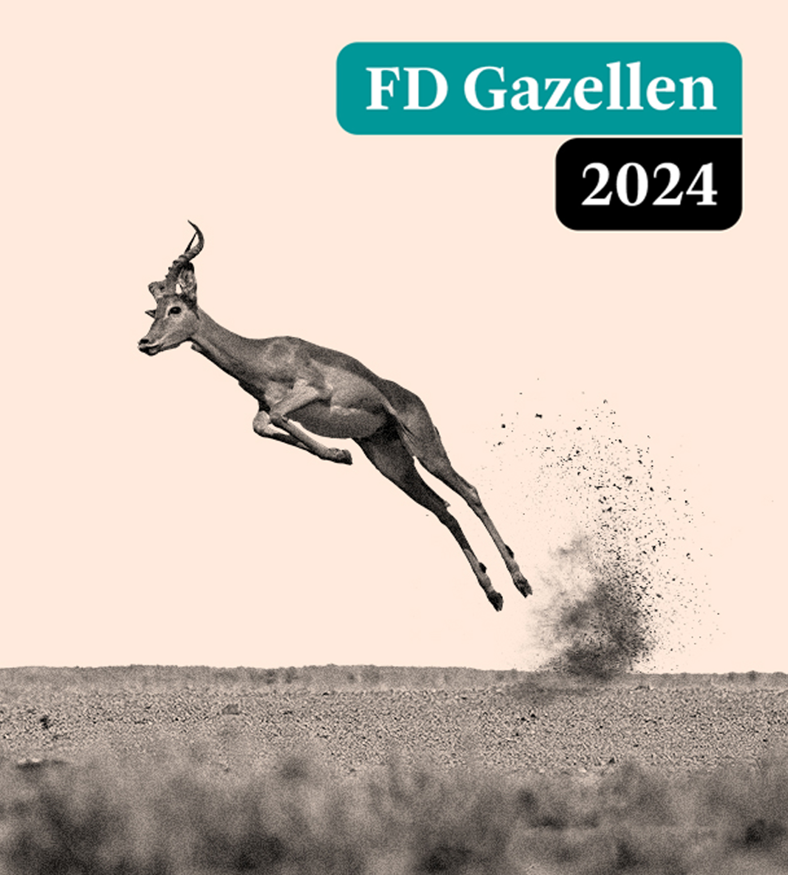 Global Mounts Group remporte le FD Gazelle Award 2024